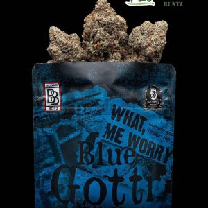 Blu Gotti Backpackboyz