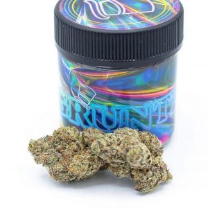 Buy Gruntz online