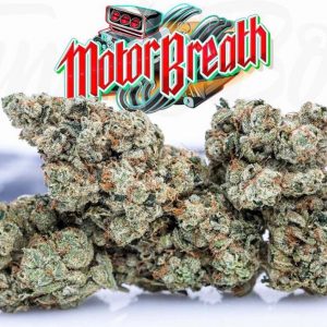 Buy Motor Breath Jungleboys