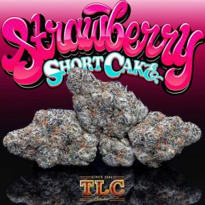 Buy Strawberry Shortcake Jungleboys