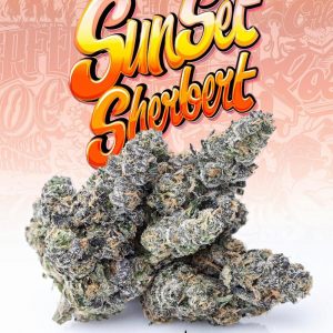 Buy Sunset Sherbert Jungleboys