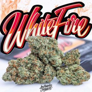 Buy White fire Jungleboys