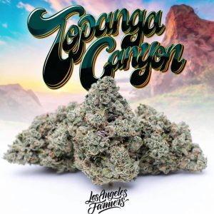 BUY JUNGLEBOYS ONLINE