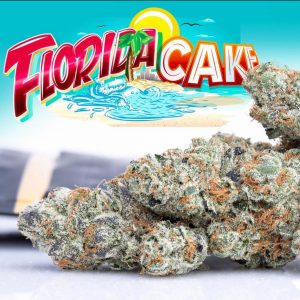 Buy Florida Cake Jungleboys