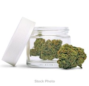Buy Blue widow online