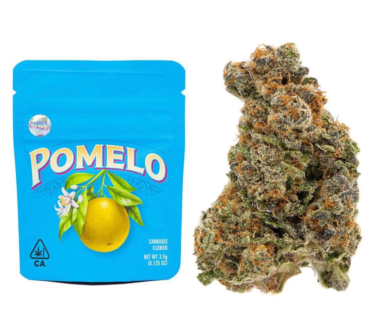 pomelo.jpeg