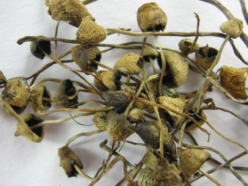 Liberty-Caps.jpg